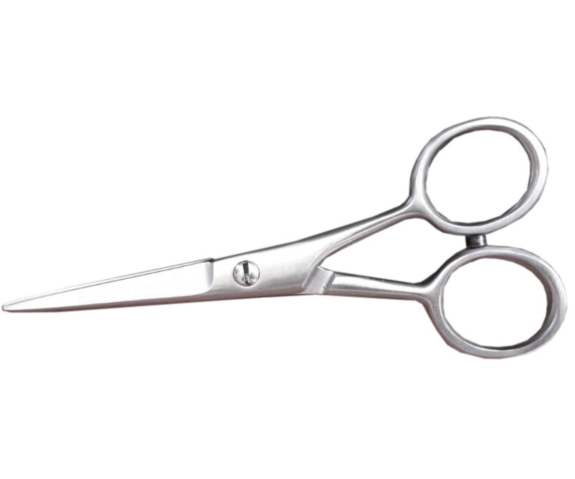E-shop Nožnice na fúzy Ragnar Barber Line 4,5"- strieborné + darček zadarmo