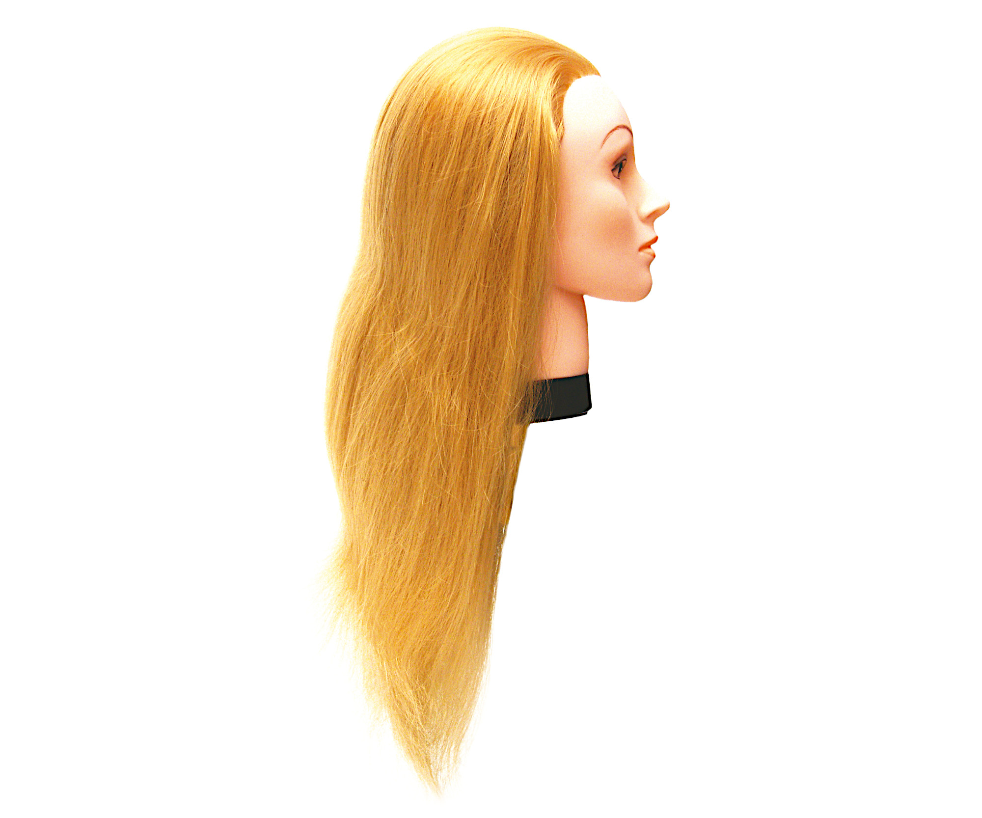 E-shop Cvičná hlava s umelými vlasmi Eurostil Professional - svetlá blond, 45-50 cm (02544) + darček zadarmo