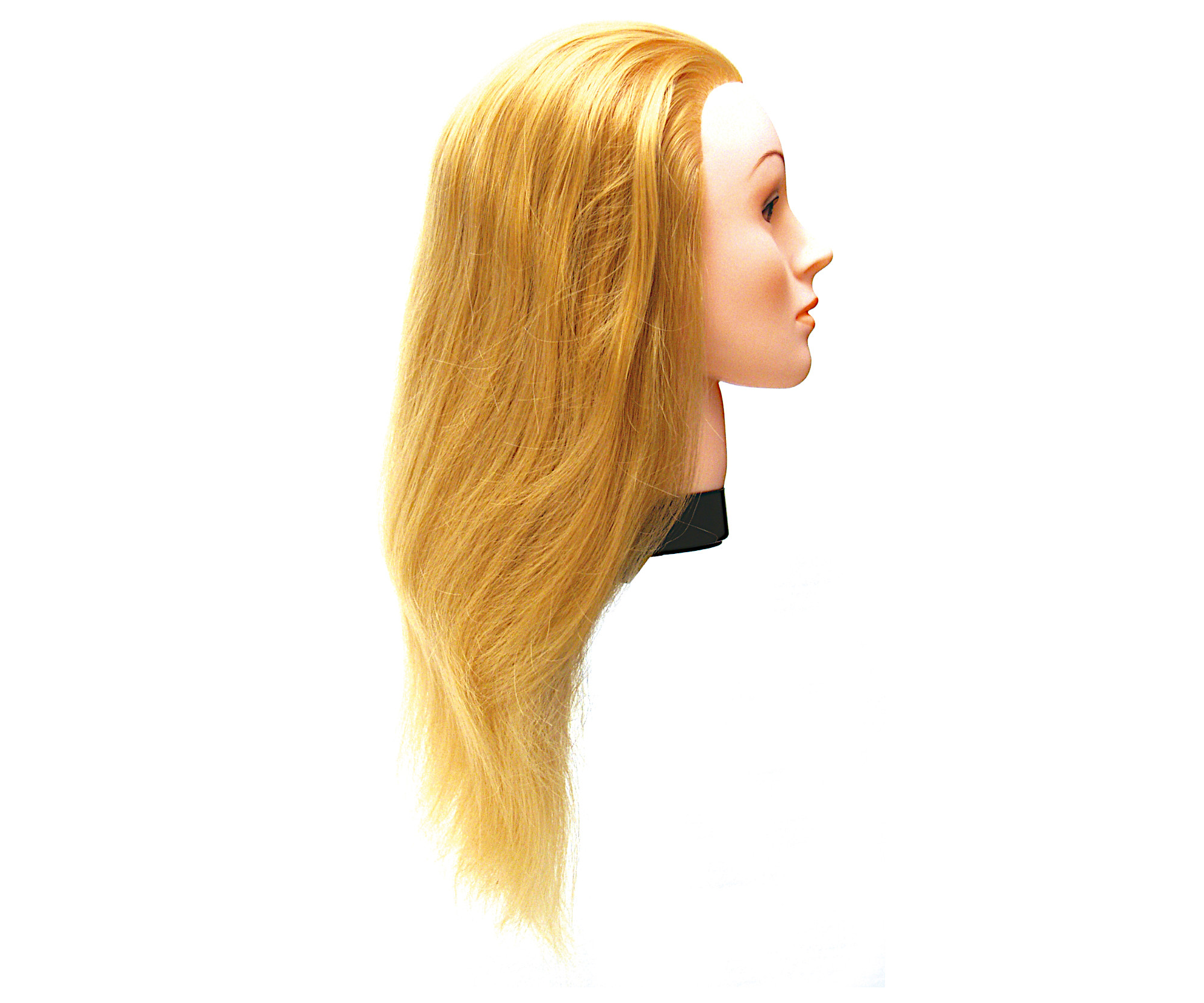 E-shop Cvičná hlava s umelými vlasmi Eurostil Professional - svetlá blond, 35-40 cm (02543) + darček zadarmo