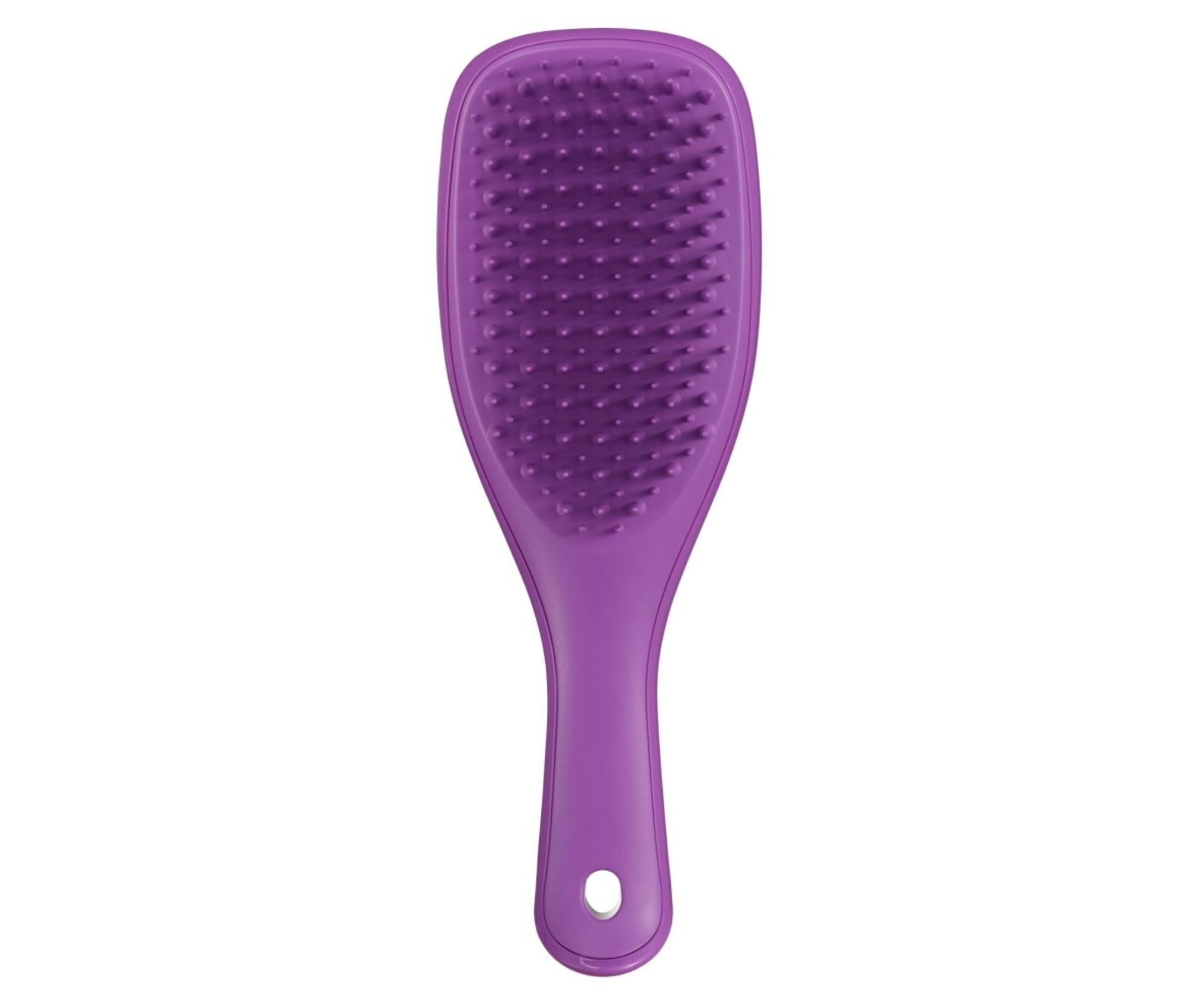 E-shop Cestovná kefa na rozčesávanie vlasov Tangle Teezer Ultimate Detangler Mini Fresh Purple - fialový + darček zadarmo