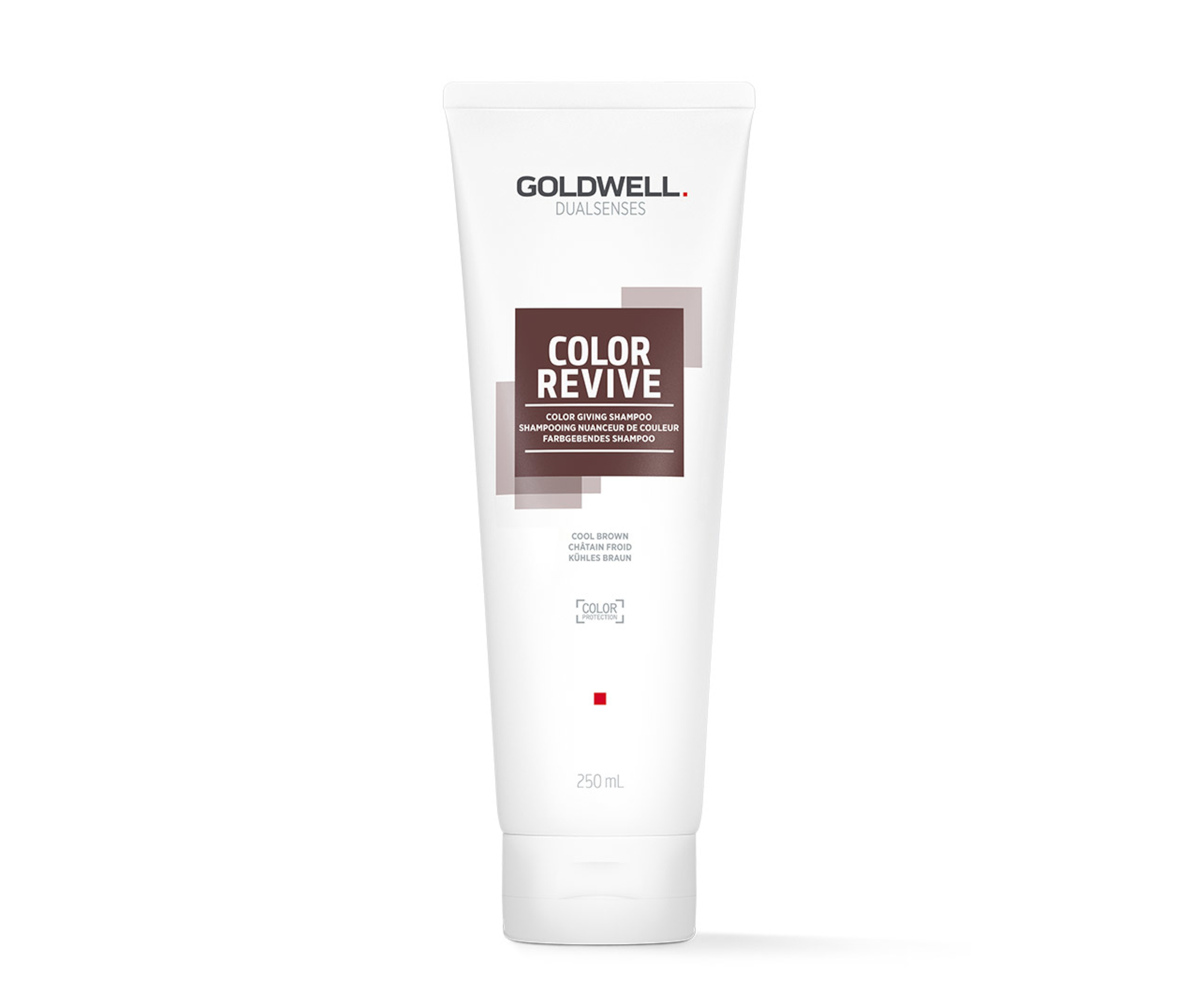 E-shop Šampón na oživenie farby vlasov Goldwell Color Revive - 250 ml, studená hnedá (202993) + darček zadarmo