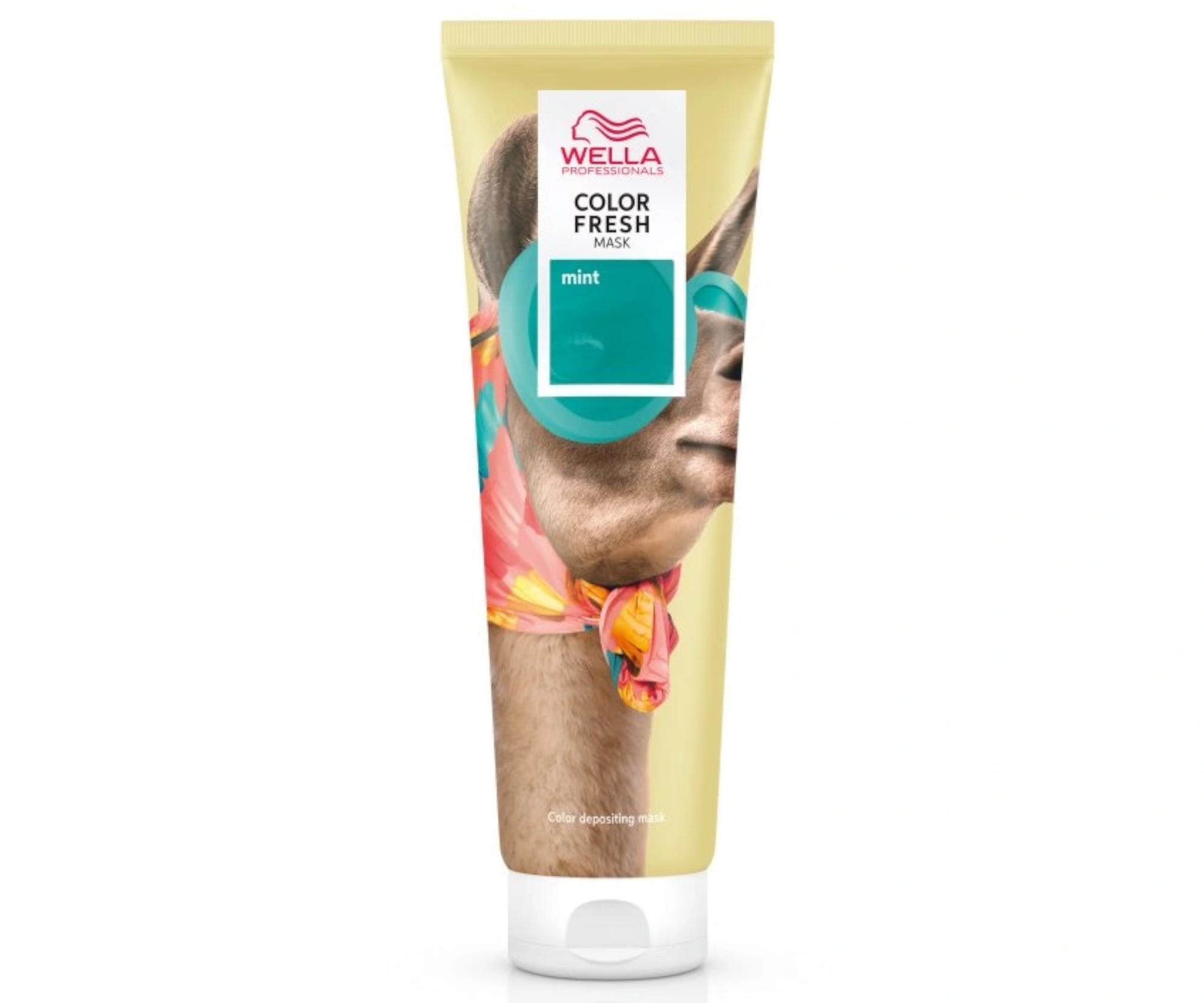 E-shop Farbiaca maska na vlasy Wella Color Fresh Mask Mint - 150 ml, tyrkysová (99268003933) + darček zadarmo