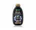 ada pro mastn konky a such dlky Garnier Therapy Botanic Magnetic Charcoal - ampn - 250 ml