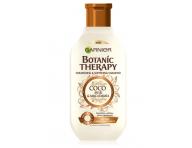 ampn pre such a hrub vlasy Garnier Botanic Therapy Coco - 250 ml