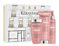 Rad pre farben vlasy Krastase Chroma Absolu