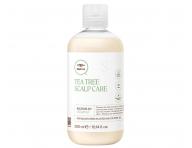 Paul Mitchell Scalp Care ampn