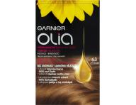 Permanentn olejov farba Garnier Olia 6.3 zlat svetlo hned