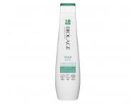 Rad pre zdravie pokoky hlavy Matrix Biolage ScalpSync