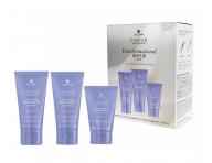 Cestovn� sada pre po�koden� vlasy Alterna Bond Repair