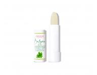 Pomda na pery Amoen, mta pieporn - 4,2 g