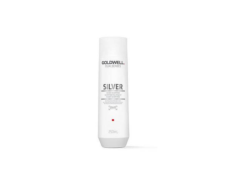 ampn pre blond a ediv vlasy Goldwell Dualsenses Silver - 250 ml