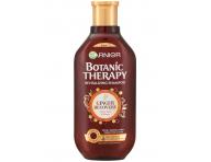 ampn pre jemn vlasy Garnier Botanic Therapy Ginger Recovery - 250 ml