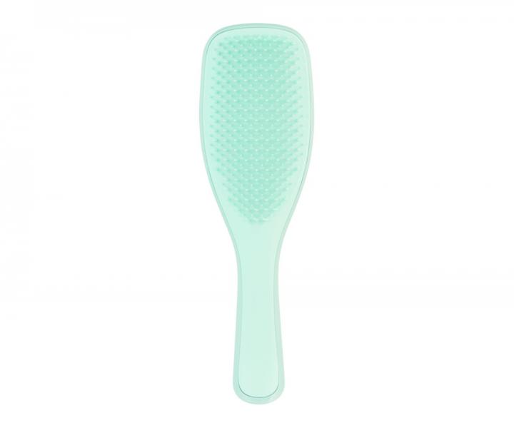 Kefa na roz�es�vanie vlasov Tangle Teezer The Wet Detangler - mentolov�, 21,5 x 6 cm