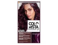 Permanentn farba na vlasy Loral Colorist Permanent Gel Dark Purple - tmavo fialov