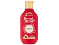 ampn pre farben vlasy Garnier Botanic Therapy Cranberry - 250 ml