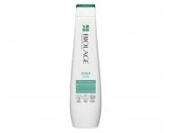 Rad pre zdravie pokoky hlavy Matrix Biolage ScalpSync