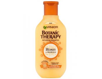 ampn pre pokoden vlasy Garnier Botanic Therapy Honey - 250 ml