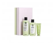 Darekov sada pre vivu suchch a pokodench vlasov Maria Nila Structure Repair