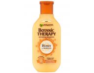 ampn pre pokoden vlasy Garnier Botanic Therapy Honey - 250 ml