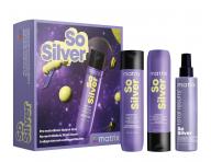 Dar�ekov� sada pre neutraliz�ciu �lt�ch t�nov blond vlasov Matrix So Silver