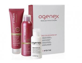 Sada Ogenex pre zdokonalenie farby Inebrya Pro-Color - prasknuté viečko šampónu
