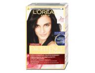 Permanentn farba Loral Excellence 200 iernohned