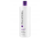 ampn pre objem vlasov Paul Mitchell Extra-Body
