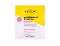 �amp�n na zachovanie farby farben�ch vlasov Yellow Professional Color Care Maintenance Shampoo - 10 ml (bonus)
