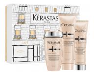 Rad pre vlnit a kuerav vlasy Krastase Curl Manifesto