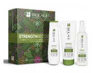 Dar�ekov� sada pre po�koden� vlasy Biolage Strength Recovery - �amp�n + kondicion�r + sprej