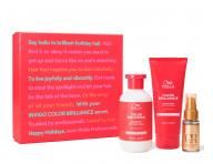 Dar�ekov� sada pre jemn� a� norm�lne farben� vlasy Wella Professionals Invigo Color Brilliance