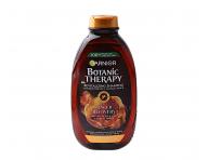 ampn pre jemn vlasy Garnier Botanic Therapy Ginger Recovery - 400 ml