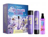 Dar�ekov� sada na neutraliz�ciu �lt�ch t�nov blond a mel�rovan�ch vlasov Matrix So Silver Slopes