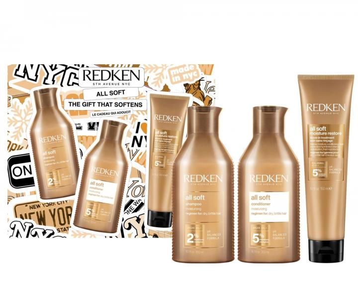 Vyivujca darekov sada pre such a krehk vlasy Redken All Soft