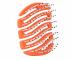 Kefa na vlasy Sister Young Mila Pocket Hair Brush - oran�ov�