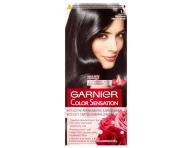 Permanentn farba Garnier Color Sensation 1.0 ultra ierna
