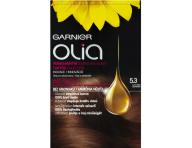 Permanentn olejov farba Garnier Olia 5.3 zlat hned