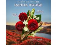 Darekov sada pre starostlivos o telo Moroccanoil Dahlia Rouge Body Care Set