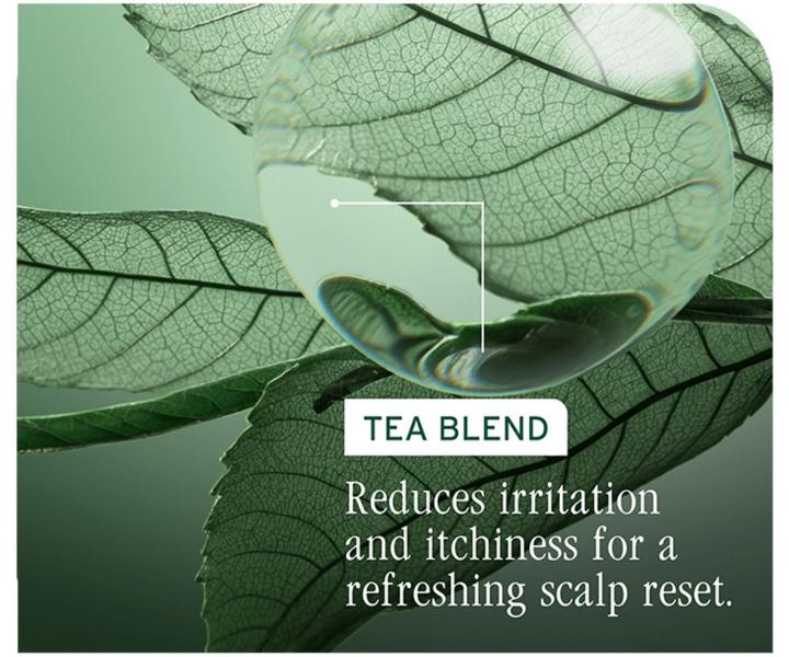 Kondicionr pre zdrav vlasov pokoku Biolage Scalp Sync Universal Conditioner - 236 ml