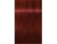 Farba na vlasy Schwarzkopf Professional Igora Royal 60 ml - 5-88 svetlo hned erven extra