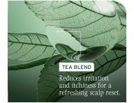 Pr�pravn� �istiaca starostlivos� pre v�etky typy vlasovej poko�ky Biolage Scalp Sync Purifying Scalp Concentrate - 200 ml