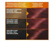 Permanentn� farba Garnier Color Naturals 660 intenz�vne �erven�