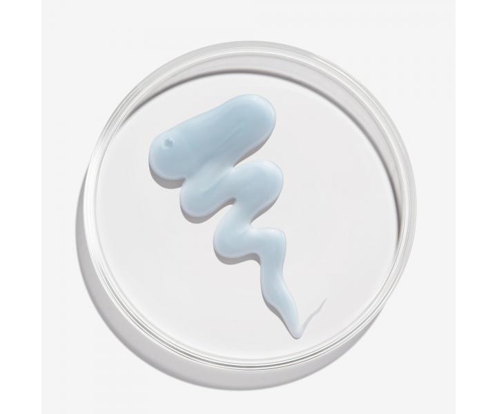 Vyivujci a posilujci ampn pre zosvetlen vlasy Redken Extreme Bleach Recovery - 300 ml