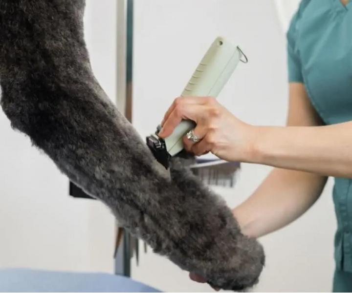 Profesion�lny stroj�ek na zvieraciu srs� Wahl Professional KMC+ Cord/Cordless Clipper - mentolovo zelen�