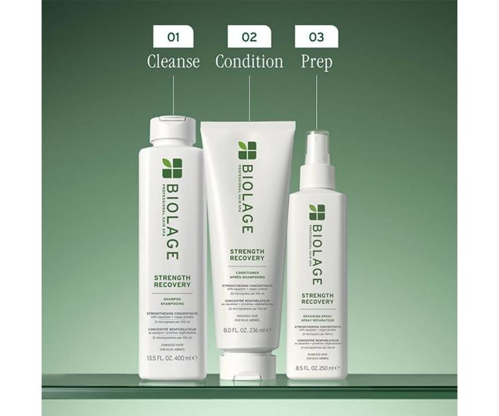 Obnovujci sprej pre pokoden vlasy Biolage Strength Recovery Repairing Spray - 250 ml