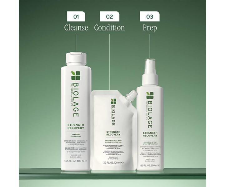 Hbkovo regeneran maska pre pokoden vlasy Biolage Strength Recovery Deep Treatment Mask - 100 ml