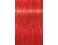 Farba na vlasy Schwarzkopf Professional Igora Royal 60 ml - 0-88 Booster erven