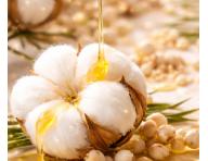 Revitaliza�n� bezoplachov� kr�m pre such� a po�koden� vlasy Kl�ral System Retinoil Revitalising Absolute Fluid - 100 ml