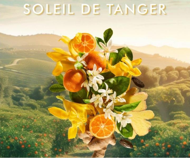 Darekov sada pre starostlivos o telo Moroccanoil Soleil De Tanger Body Care Set