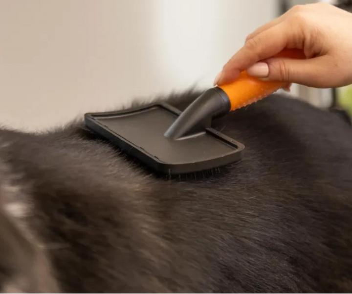 Roz�es�vacia ploch� kefa na zvieraciu srs� Wahl Slicker Brush Large 58424 - oran�ov�
